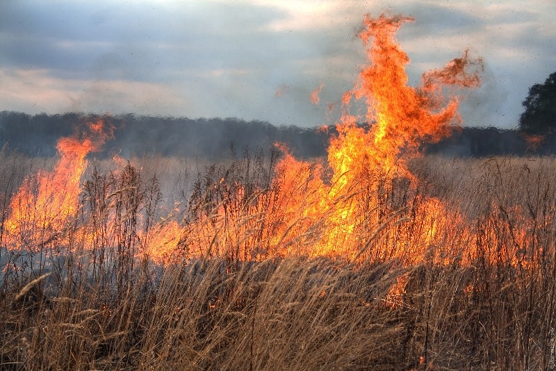 foc-incendiu-vegetatie-uscata-teren