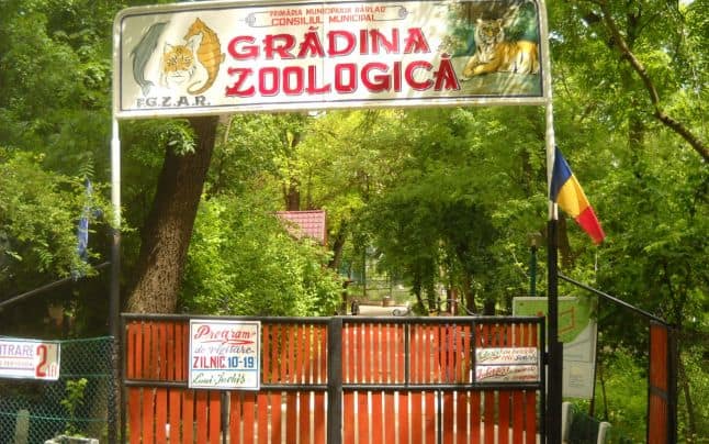 Grădina Zoologică Barlad Isi Scoate La Vanzare Animalele
