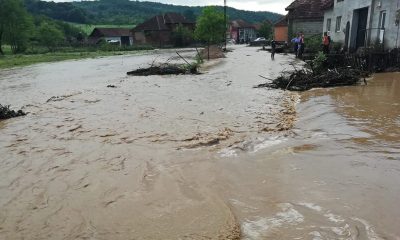 inundatii
