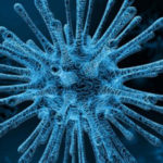 coronavirusul supraviețuiește