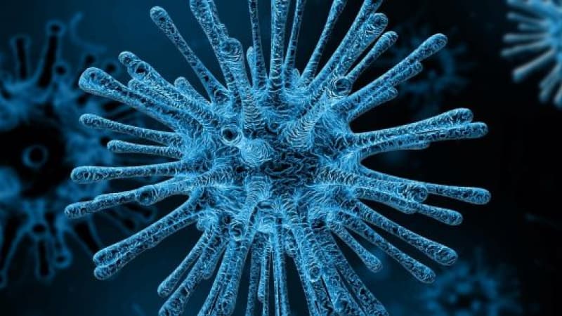 epidemie coronavirus