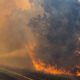 australia incendii vegetatie dezastru
