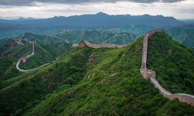zid chinezesc