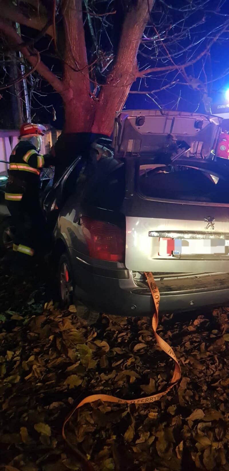 accident dolj 1