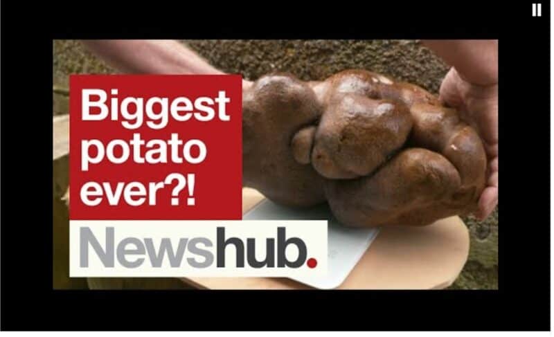 cartof gigantic