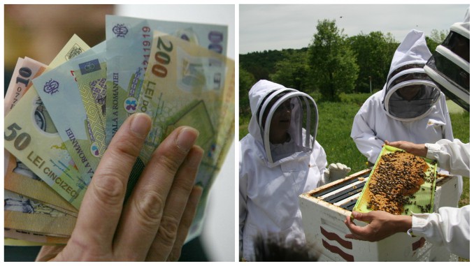 ajutor de minimis pentru apicultori.jpg