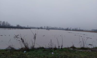 inundatii arad 2
