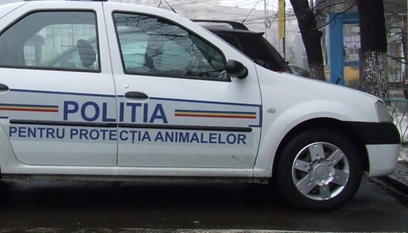 politia animaleor