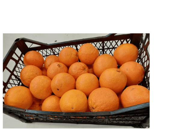 portocale turcia retrase magazine