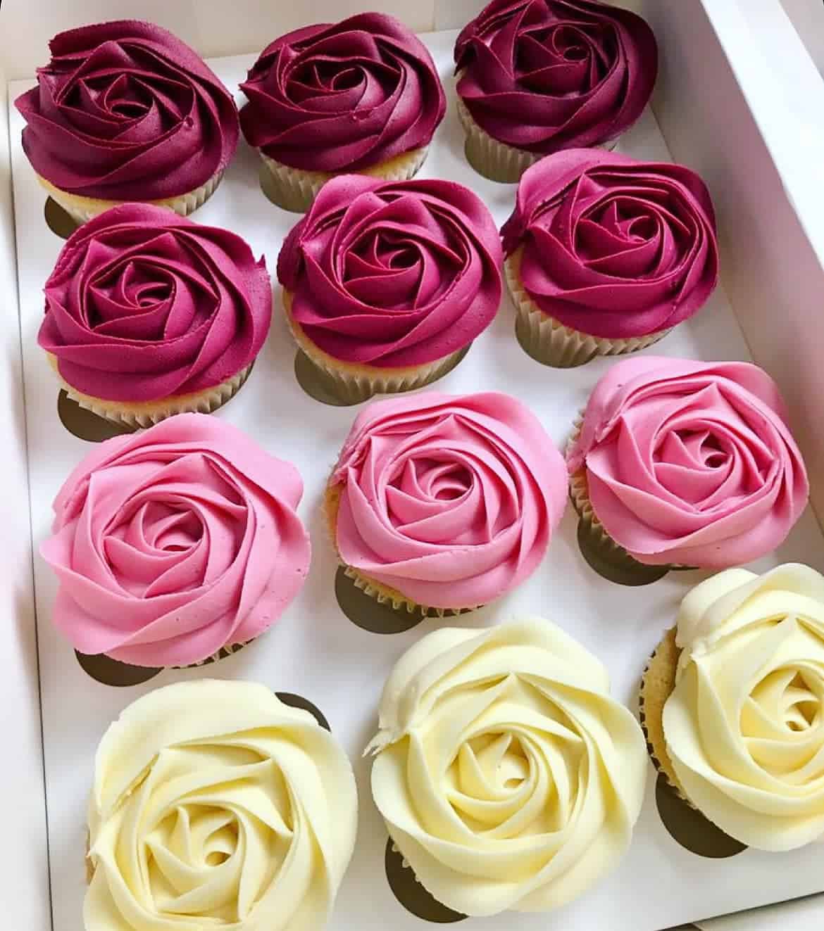 May be an image of cupcake and rose