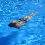 piscina femeie vacanta foto pixabay