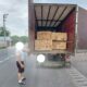 transport ilegal lemn galati