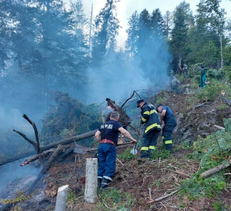 fond forestier incendiu mures1