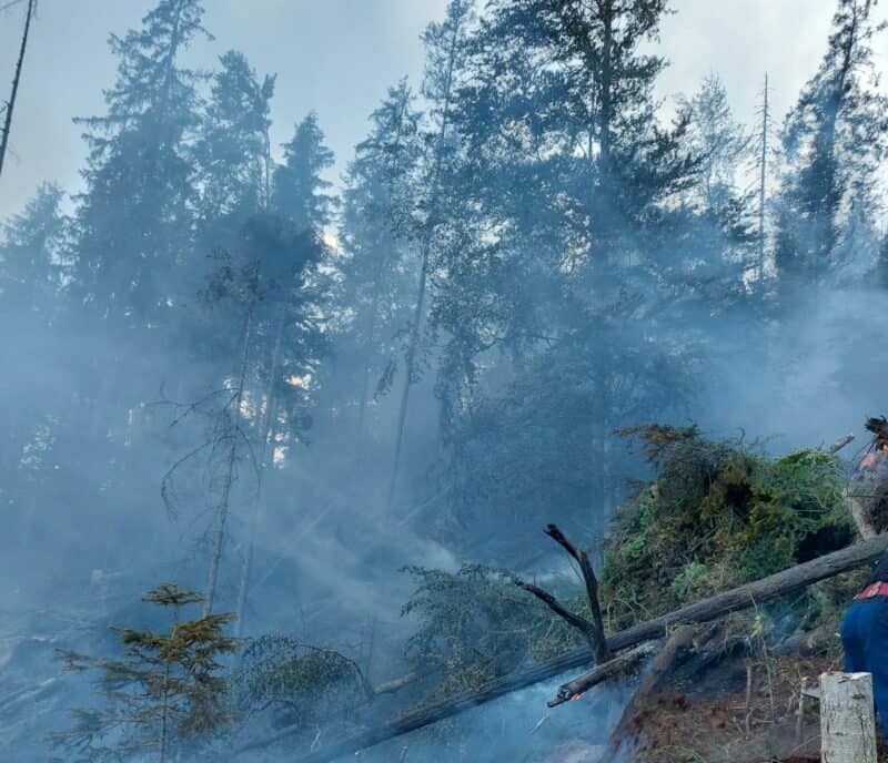 fond forestier incendiu mures2