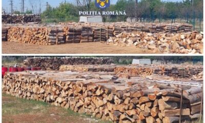 lemne confiscate politie06072022.jpg