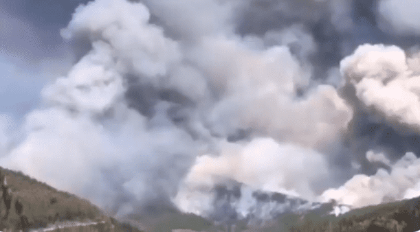 incendiu vegetatie portugalia captura video twitter