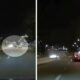 video. o șoferița neatentă a zburat cu mașina de teren