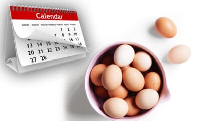 cum păstrezi ouăle proaspete mai multe luni. metoda genială la