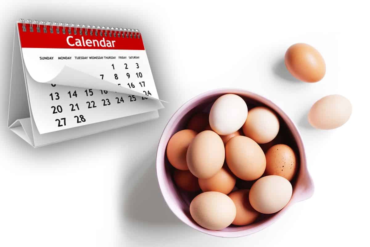 cum păstrezi ouăle proaspete mai multe luni. metoda genială la
