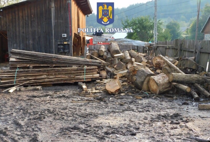 lemn confiscat 13jpg