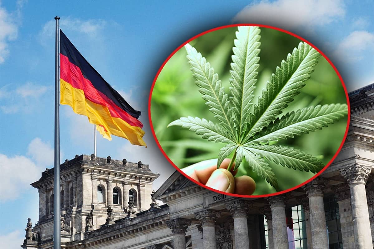 germania se pregătește să legalizeze canabisul în scop recreativ. care