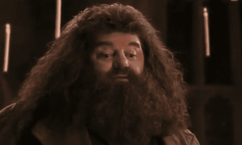 A Murit Actorul Robbie Coltrane, Celebrul Hagrid Din Seria Harry Potter ...