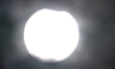 eclipsa alba24 e1666690206706 1000x600.jpg
