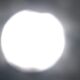 eclipsa alba24 e1666690206706 1000x600.jpg