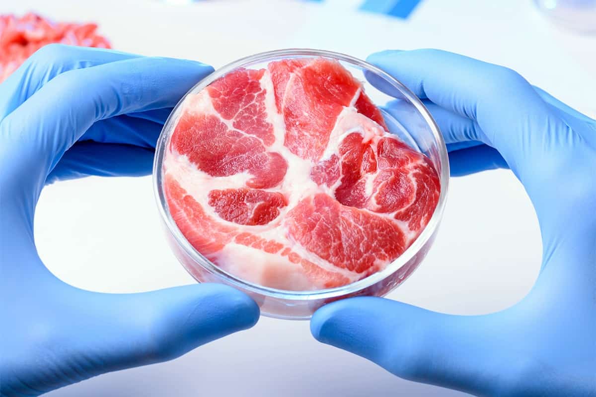 carne de pui creată în laborator, pe rafturile din magazine.