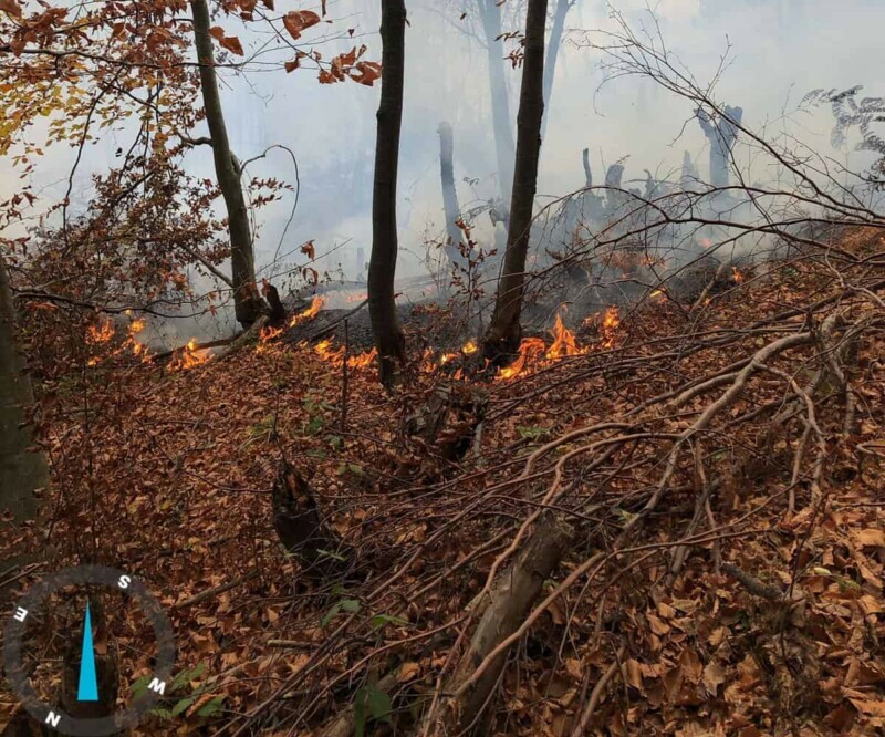 bacau incendiu1