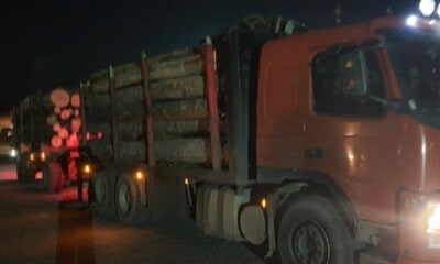 lemn confiscat mures