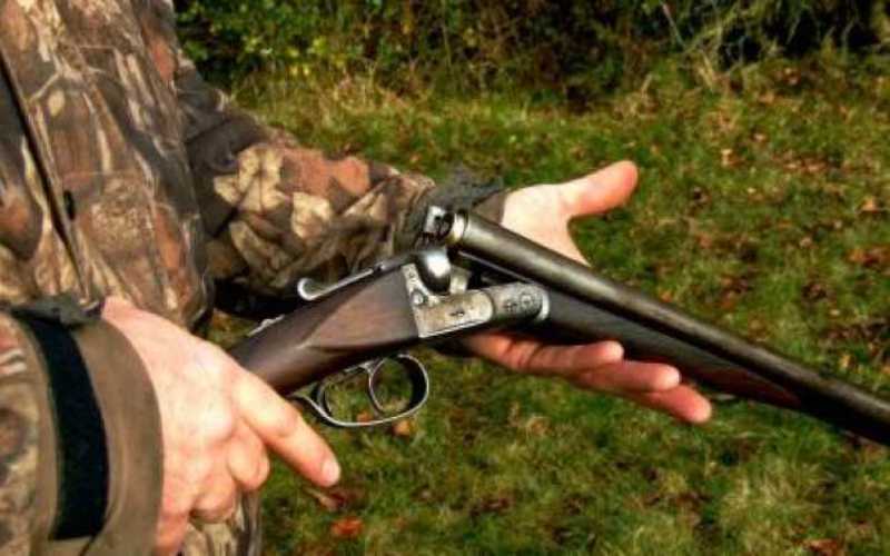 vânătorii nu mai pot folosi alicele cu plumb în anumite