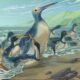 s a descoperit probabil cea mai mare specie de pinguin care