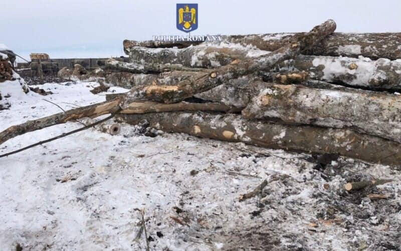 foto: material lemnos confiscat de polițiștii din harghita, în urma
