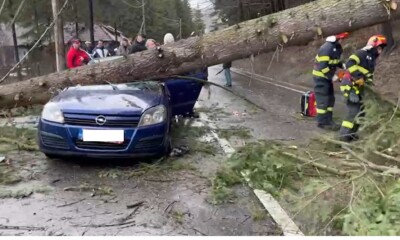 copac cazut peste masina 2
