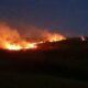 numărul incendiilor de vegetaţie uscată la care au intervenit pompierii