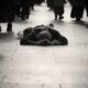 imagini incredibile: un bărbat căzut pe stradă este ocolit de