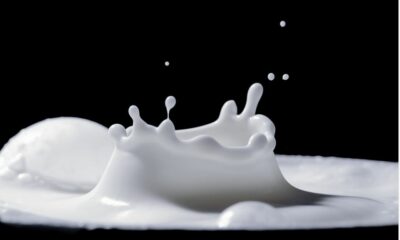 ambalajul laptelui chiar influențează gustul acestuia – studiu