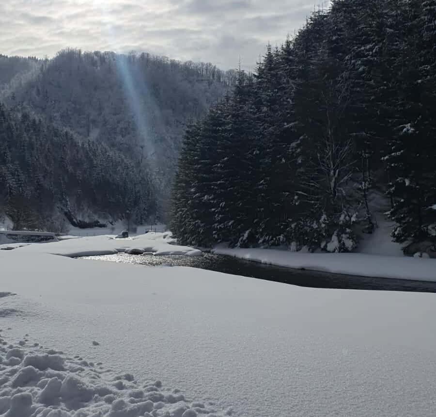 zapada maramures iarna sursa foto regia nationala a padurilor romsilva
