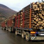 camioane lemn.jpg