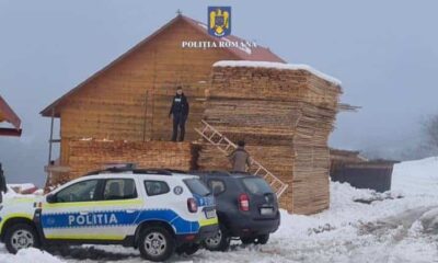 polițiștii clujeni au făcut 5 percheziȚii la hoții de lemne