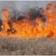 hunedoara: creştere „alarmantă” a incendiilor de vegetaţie uscată