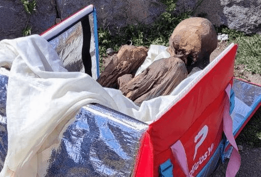 o mumie veche de aproape 800 de ani a fost