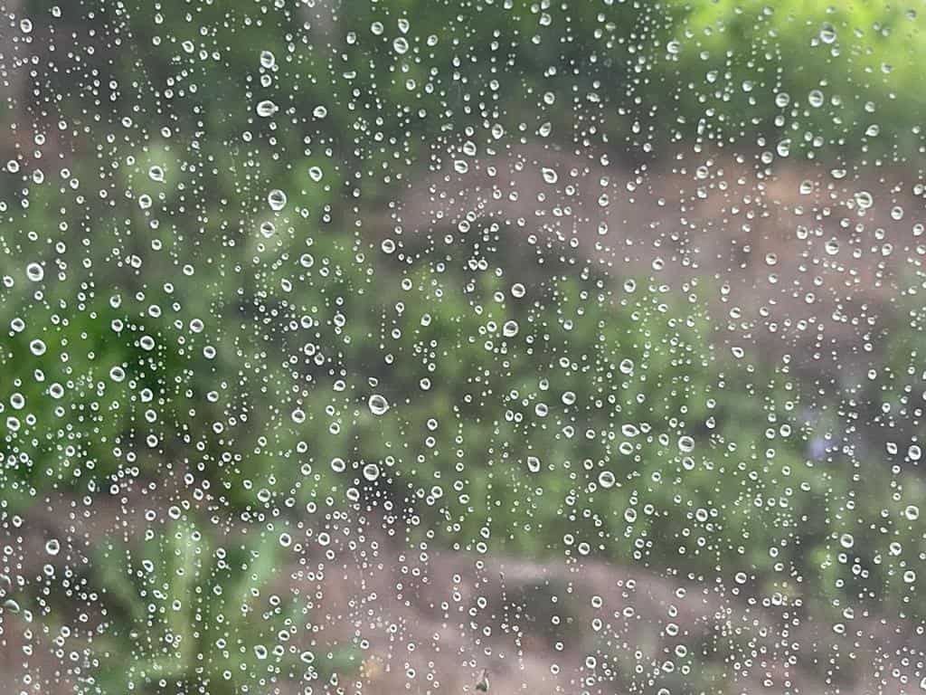 ploaie vara