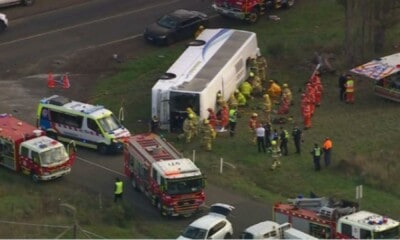 accident australia autobuz