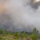 incendiu vegetatie spania vest captura video twitter