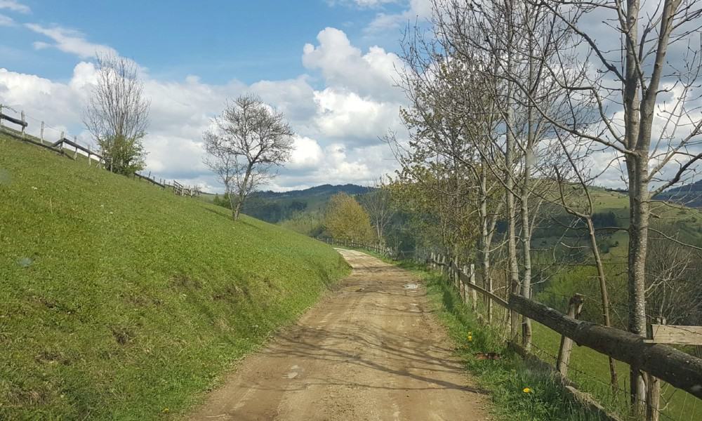 Începe modernizarea a două drumuri pitorești din comuna albac. contractul