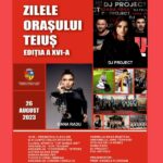 program zilele orașului teiuș, ediția 2023. concert dj project, oana