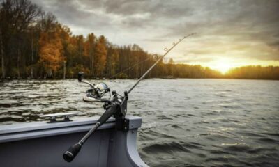 pescuit pescari pixabay e1691405875147.jpg