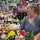 video: care sunt prețurile la flori, înainte de începerea anului